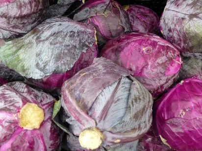 5 ideias de títulos:
1. Repolho Estragado: Os 5 Sinais Inconfundíveis que Você Precisa Saber
2. Guia Completo: Como Conservar Repolho Fresco por Mais Tempo
3. Repolho com Manchas Pretas: É Seguro Consumir?
4. Dicas de Ouro para Escolher e Armazenar o Repolho Perfeito
5. O Que Fazer com Repolho Murcho e Viscoso: Evite o Desperdício