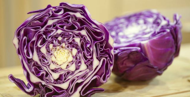 5 ideias de títulos:
1. Repolho Estragado: Os 5 Sinais Inconfundíveis que Você Precisa Saber
2. Guia Completo: Como Conservar Repolho Fresco por Mais Tempo
3. Repolho com Manchas Pretas: É Seguro Consumir?
4. Dicas de Ouro para Escolher e Armazenar o Repolho Perfeito
5. O Que Fazer com Repolho Murcho e Viscoso: Evite o Desperdício