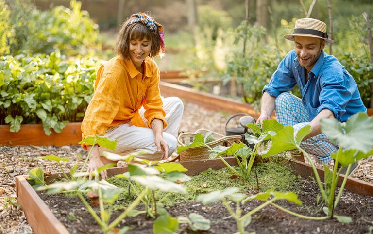 Guia Completo: Como Montar Seu Próprio Banco de Sementes em Casa