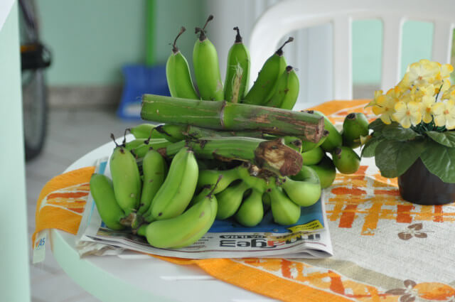 Guia completo para tirar manchas de gordura