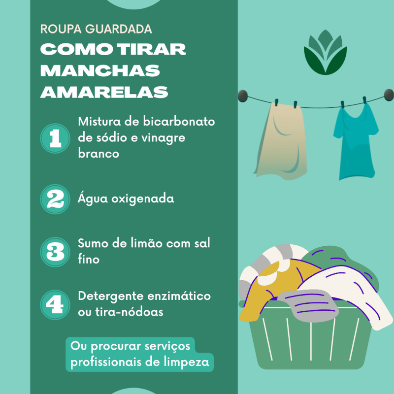 Guia completo para limpar roupas brancas