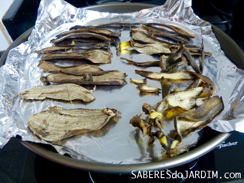 Adubo Líquido de Casca de Banana: A Receita Rápida e Eficaz