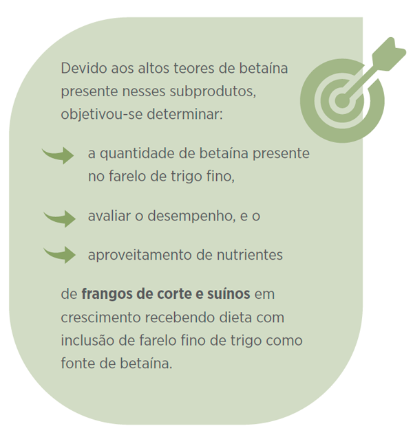 Receita fácil de pão integral com farelo de trigo