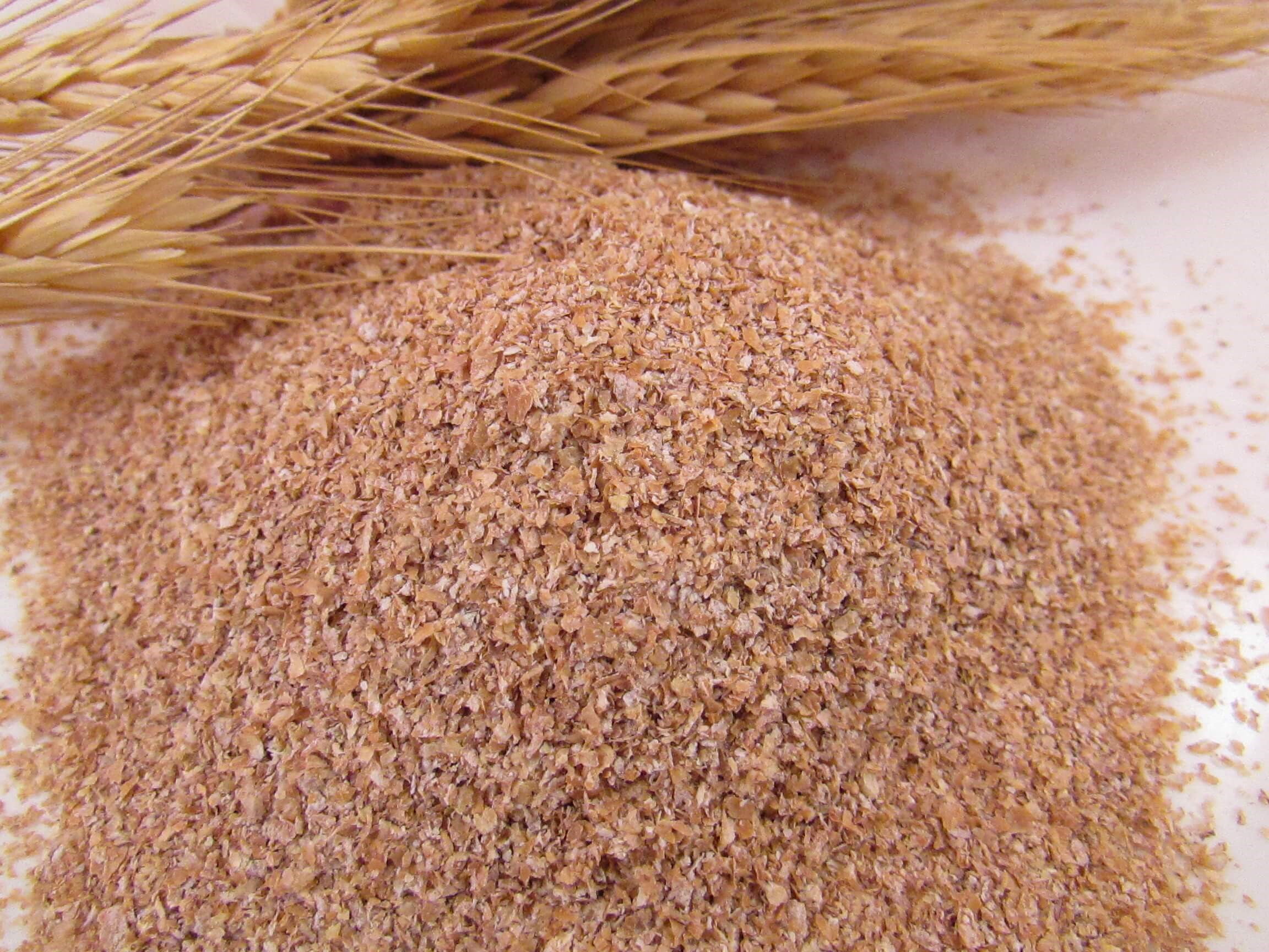 Farelo de Trigo vs. Farelo de Aveia: Qual o melhor para você?