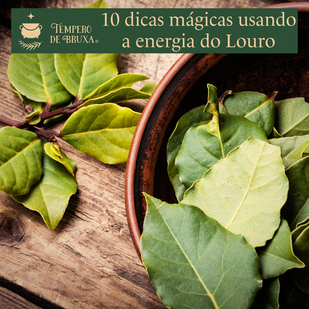 como usar folha de louro seca