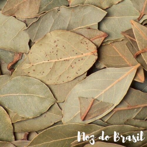 5 Usos Criativos da Folha de Louro em Casa