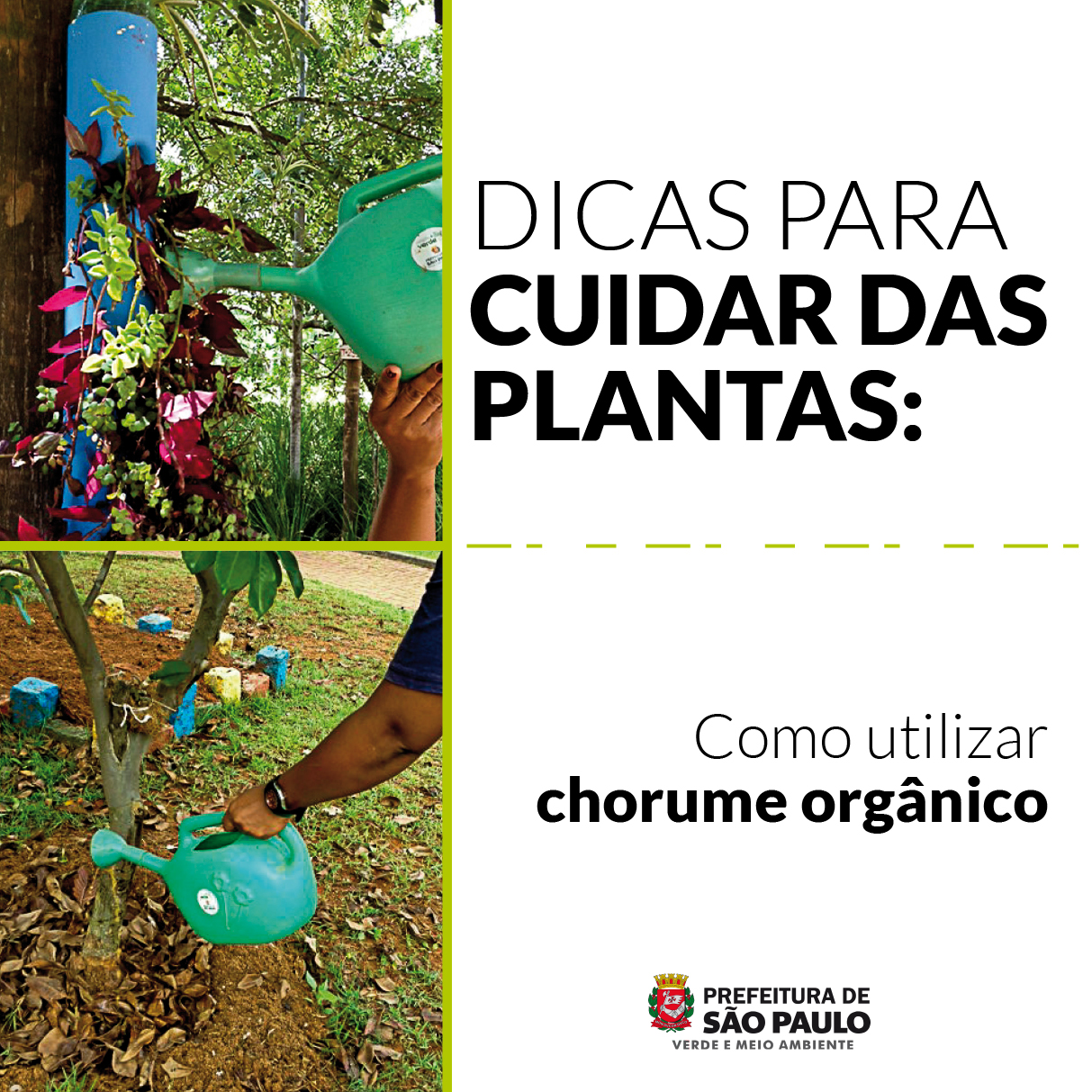 como usar o chorume da composteira