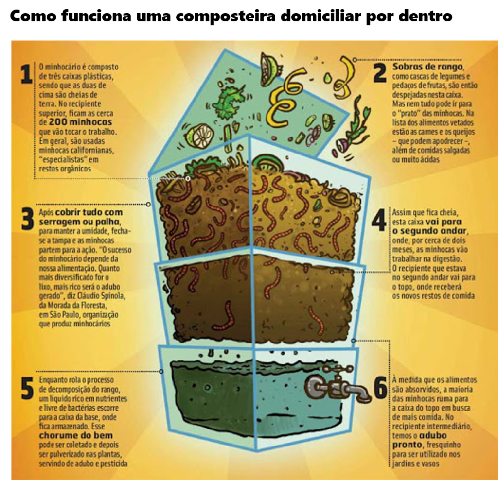 Guia completo de compostagem para iniciantes