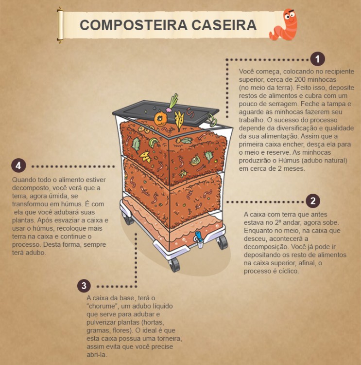 Como montar uma composteira doméstica passo a passo
