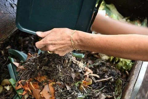 Guia completo de compostagem para iniciantes