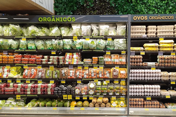 Guia Completo de Certificação Orgânica no Brasil
