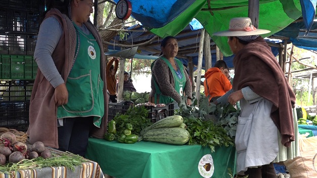 Estratégias de Marketing para Pequenos Produtores Orgânicos