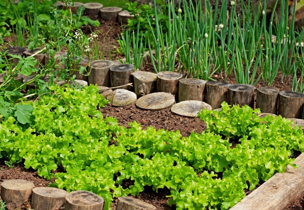 Estratégias de Marketing para Pequenos Produtores Orgânicos