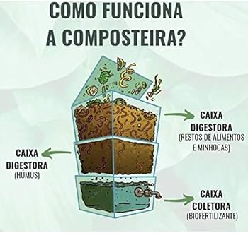 Os 5 melhores modelos de composteiras para 2024
