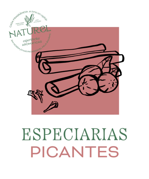 Como Armazenar Especiarias Corretamente