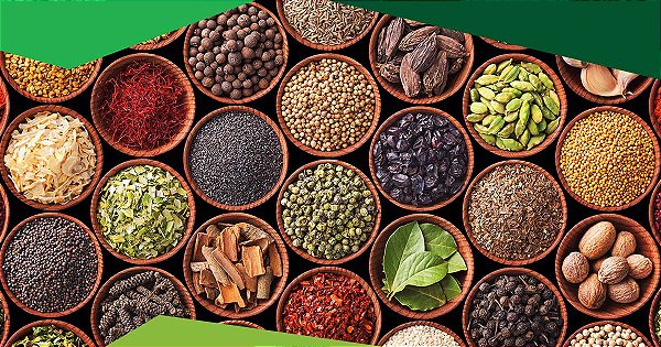 10 Melhores Temperos Naturais para sua Saúde