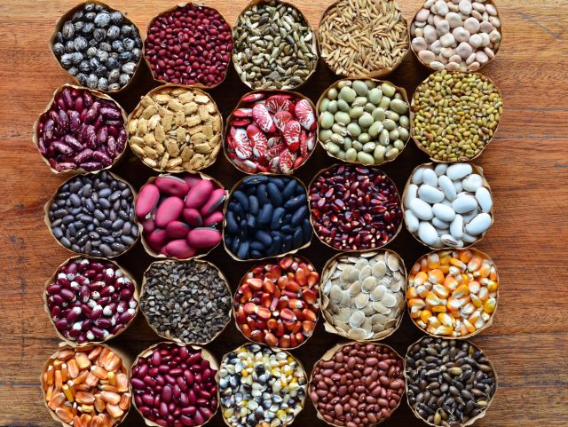 conservação de sementes crioulas