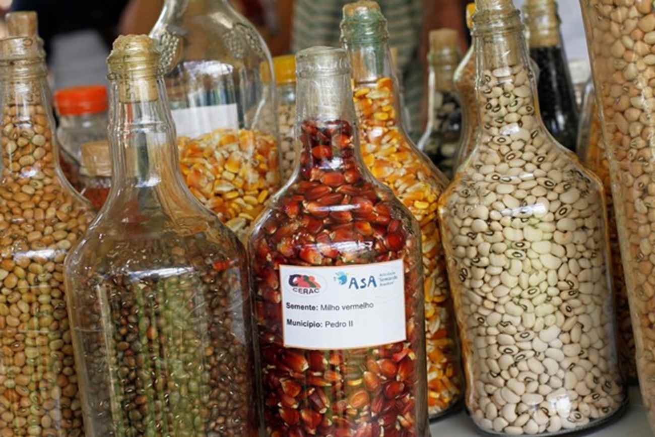 Entenda a Lei nº 10.711/03 e seus benefícios para agricultores