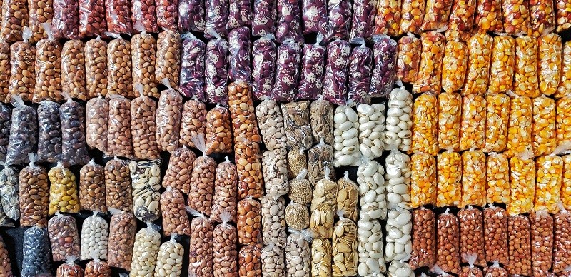 Feiras de troca de sementes: onde encontrar e como participar