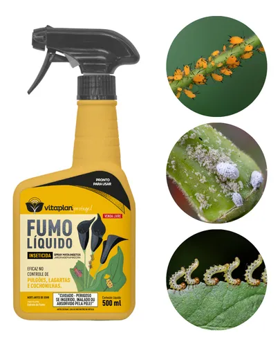 Quando e como aplicar defensivos naturais sem prejudicar as plantas