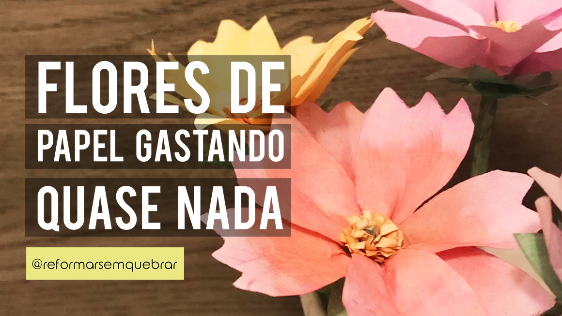 Comprando Sementes de Sempre-Viva: Onde Encontrar e Como Plantar