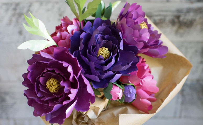 cuidados com a flor-de-papel (sempre-viva)