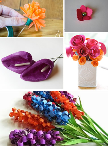 Guia Completo: Como Cultivar a Flor-de-Papel no Seu Jardim