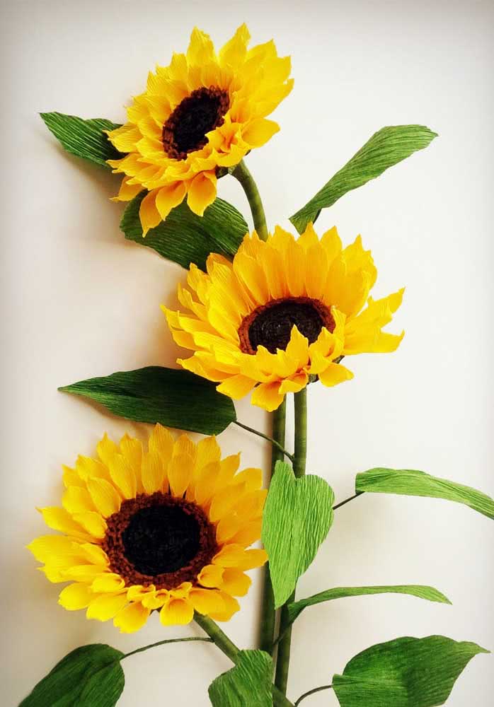 Sempre-Viva: Desvendando o Segredo da Flor que Dura Anos