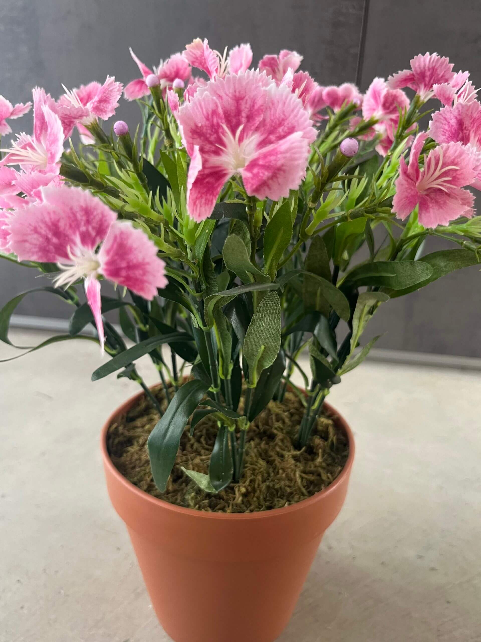 Como tratar gastroenterite em casa