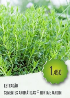 5 Receitas Incríveis com Estragão Fresco