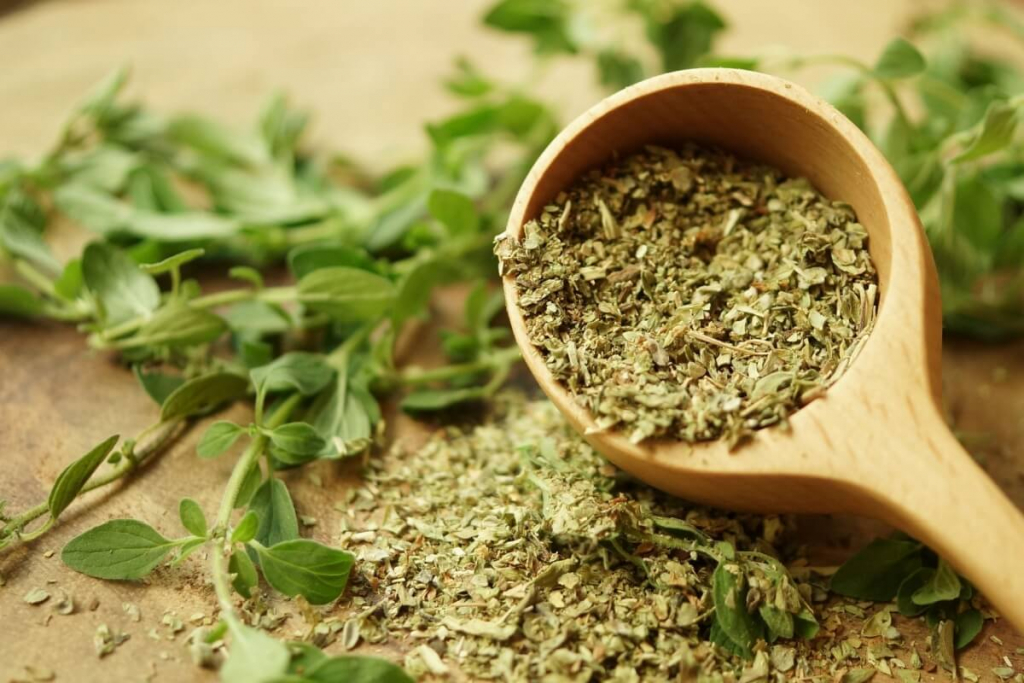 5 ideias de títulos:
1. Guia Completo: Como Plantar e Cuidar de Orégano em Casa
2. Orégano Fresco o Ano Todo: Dicas de Cultivo e Colheita
3. Os Segredos do Orégano Perfeito: Do Plantio à Conservação
4. Cultive Orégano em Vasos: Soluções para Pequenos Espaços
5. Ervas Aromáticas: Tudo Sobre o Cultivo de Orégano