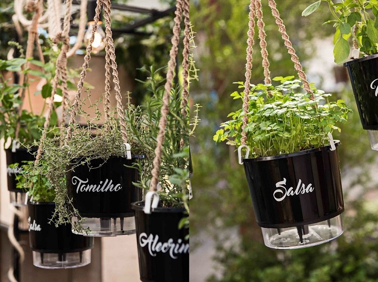 5 ideias de títulos:
1. Guia Completo: Como Plantar e Cultivar Salsa em Casa
2. Salsa Perfeita: Dicas Essenciais de Plantio e Manutenção
3. Da Semente à Colheita: Tudo Sobre o Cultivo de Salsa
4. Resolva os Problemas Comuns no Cultivo de Salsa
5. Salsa Fresca o Ano Todo: Segredos para uma Colheita Abundante