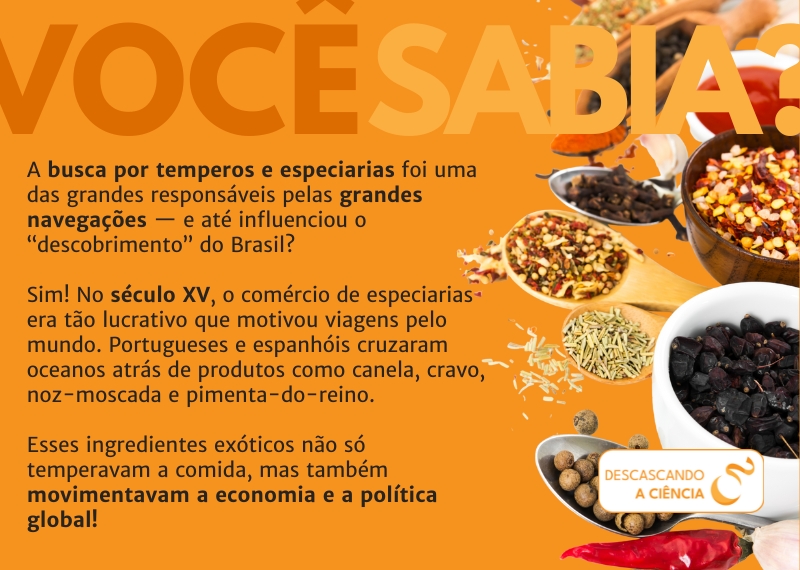 A História Fascinante da Canela Através dos Séculos