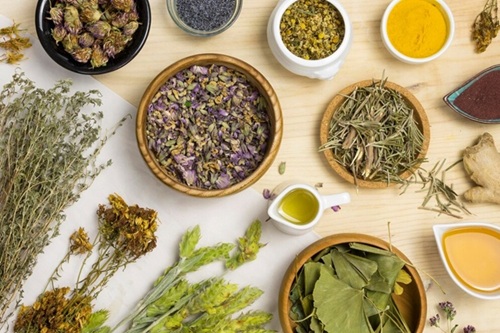curso de ervas e especiarias