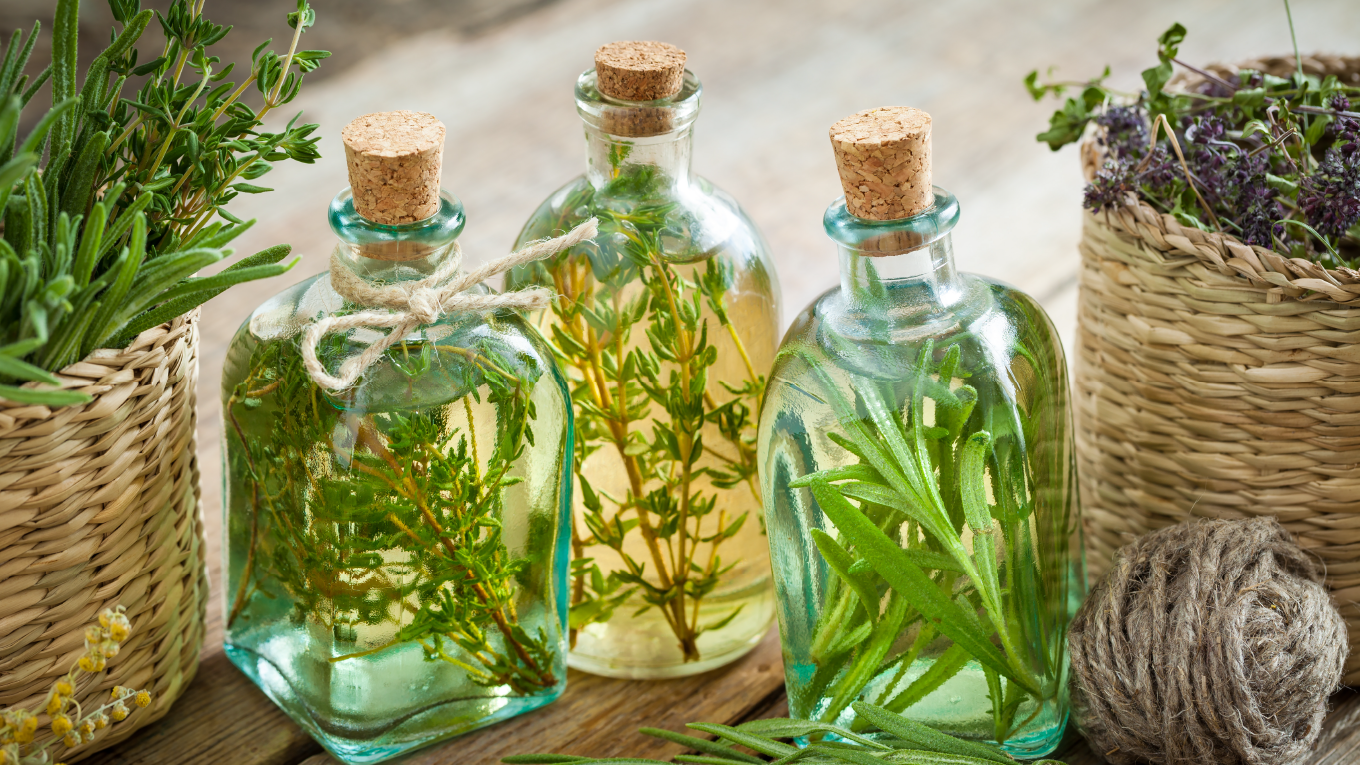 Benefícios da Fitoterapia para a Saúde Mental