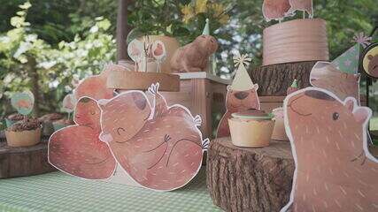 decoração capivara barata como economizar