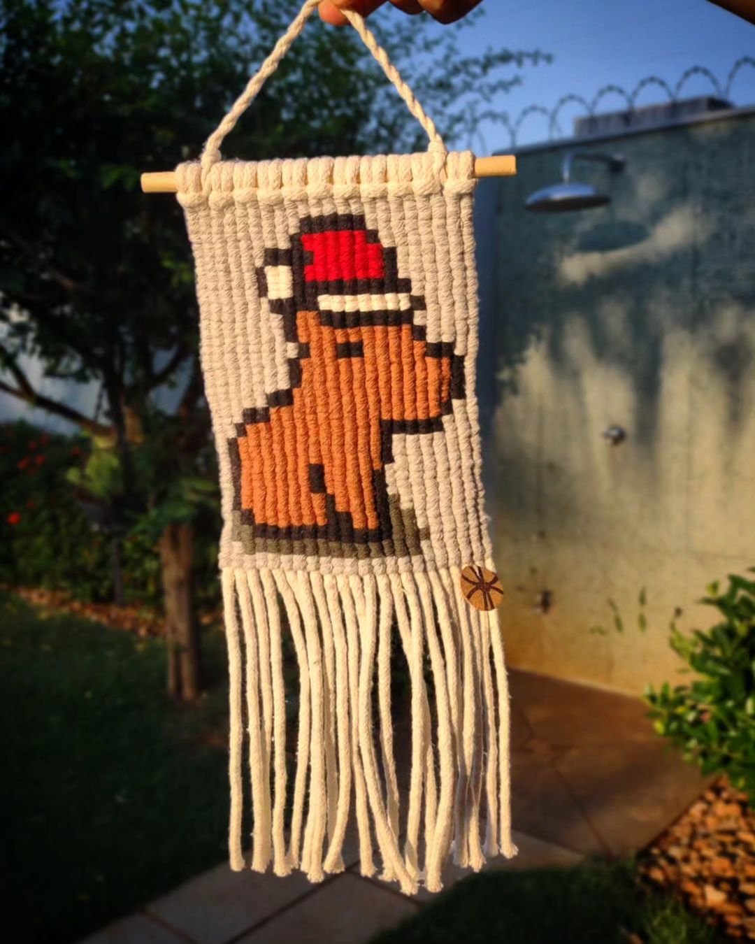 ideias decoração festa capivara criativas