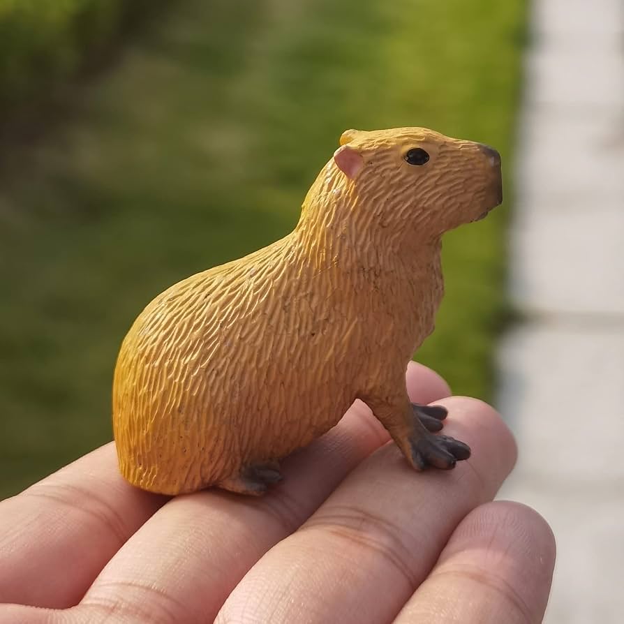 erros comuns decoração capivara evitar