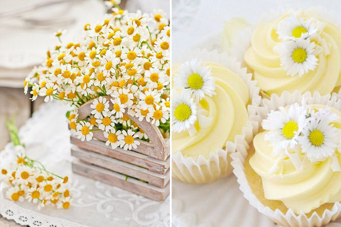 evitar erros decoração margarida ambiente pequeno