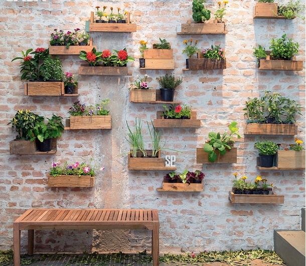10 ideias de plantas para horta de sombra