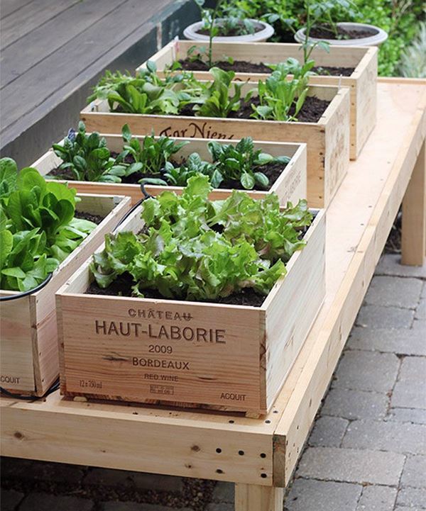 decoração de horta