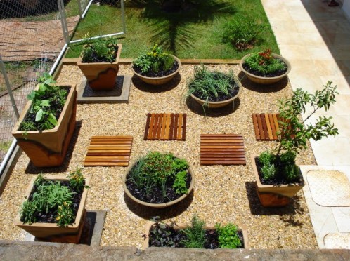 10 ideias de plantas para horta de sombra