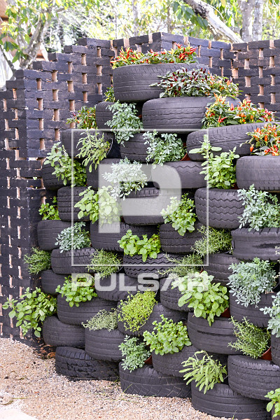 Como montar um kitchen garden na cozinha