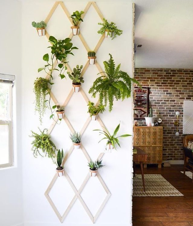 Benefícios das plantas aromáticas em casa