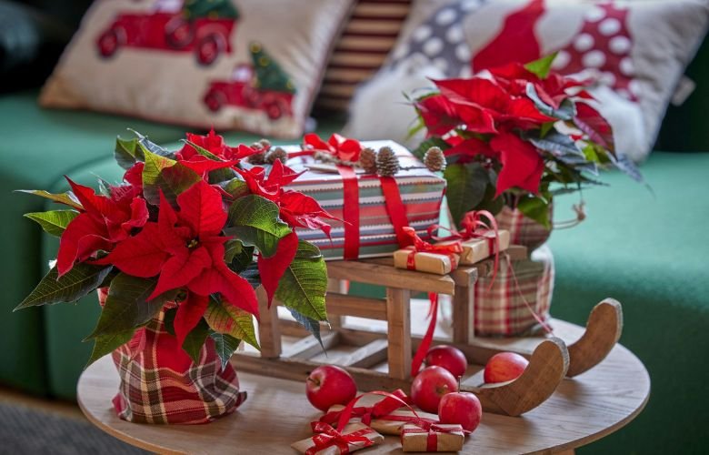 decoração de natal com flores