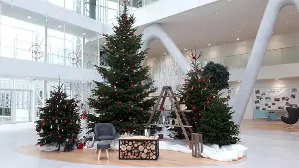 decoração natal recepção empresa pequena