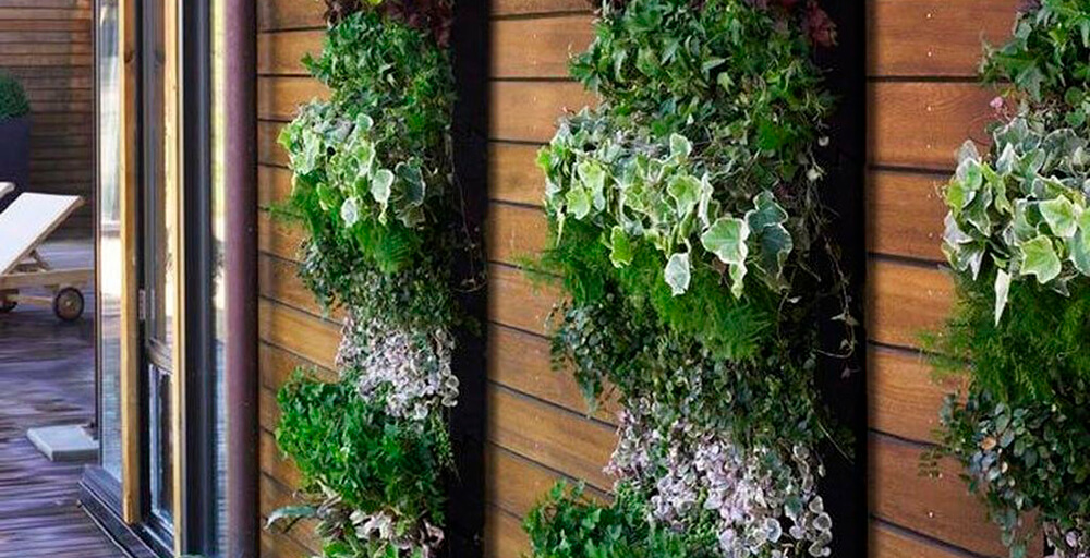 erros comuns decorar parede externa umidade