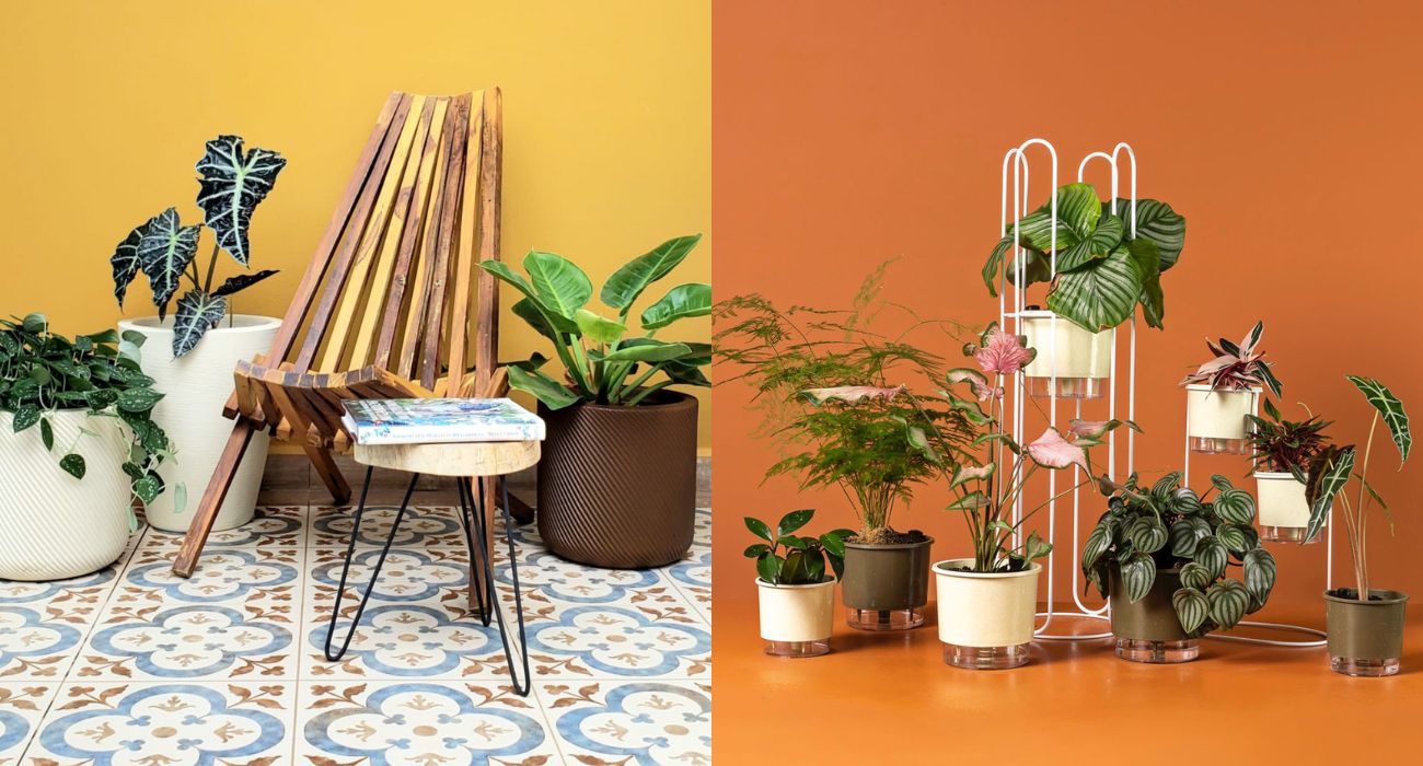 ideias de decoração de varanda com plantas para inspirar