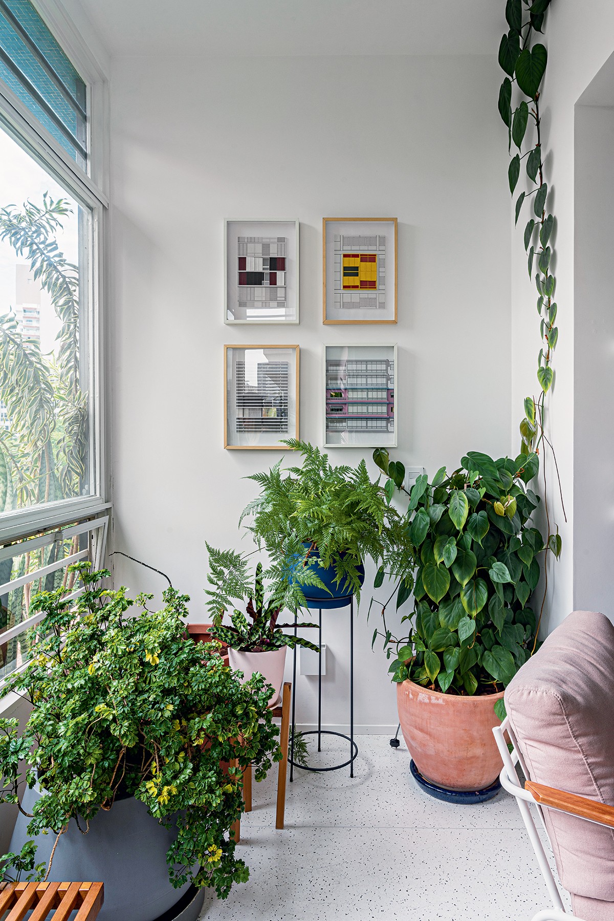 erros comuns ao decorar varanda com plantas