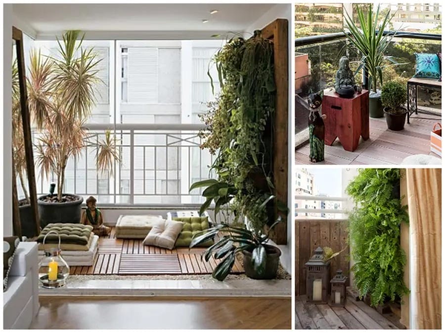 como escolher plantas para varanda pequena e com pouca luz